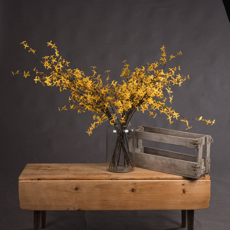 Faux Forsythia