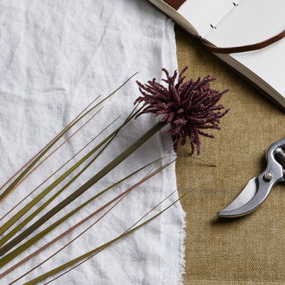 Burgundy Faux Aster Spider Chrysanthemum Stem