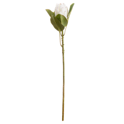 Closed White Faux Protea