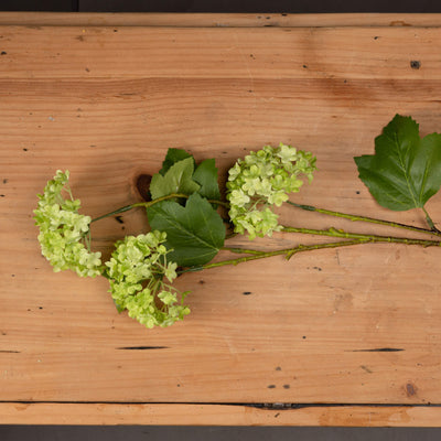 Faux Green Viburnum Spray