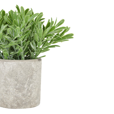 Faux Buxus Plant In Stone Effect Pot