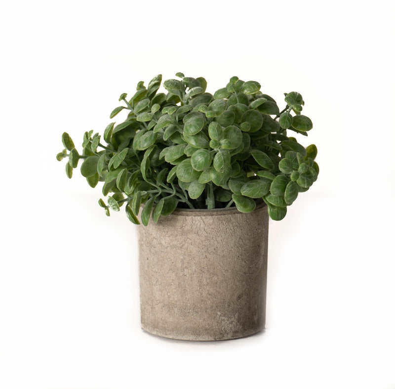 Faux basil Plant In Stone Effect Pot