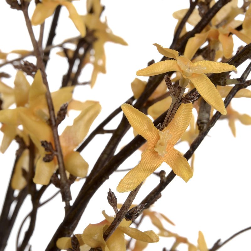 Faux Forsythia