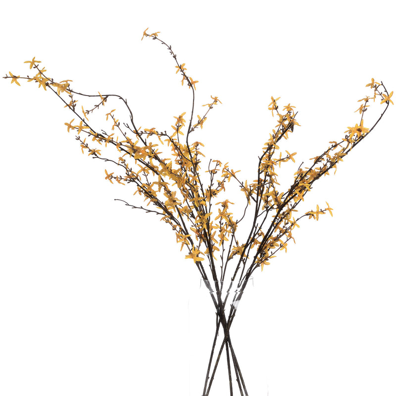 Faux Forsythia