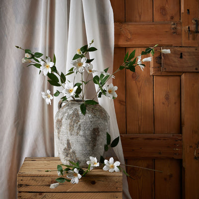 White Faux Florida Clematis