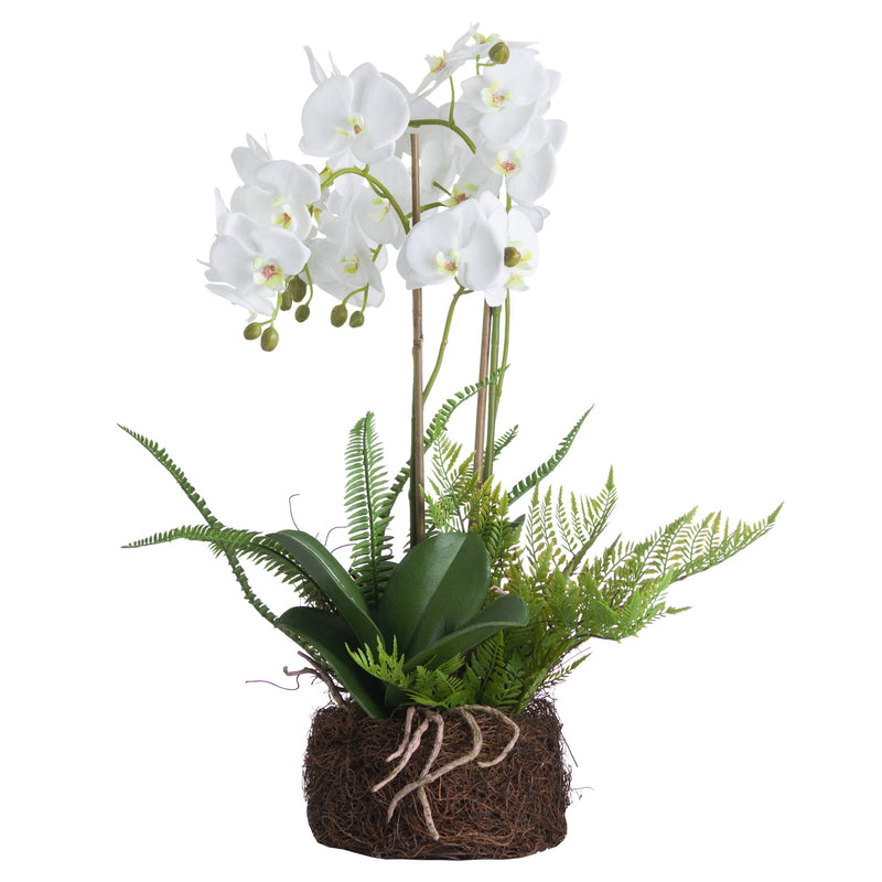 Large White Faux Orchid And Fern Garden In Rootball